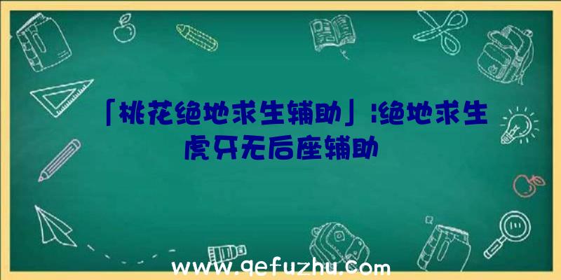 「桃花绝地求生辅助」|绝地求生虎牙无后座辅助